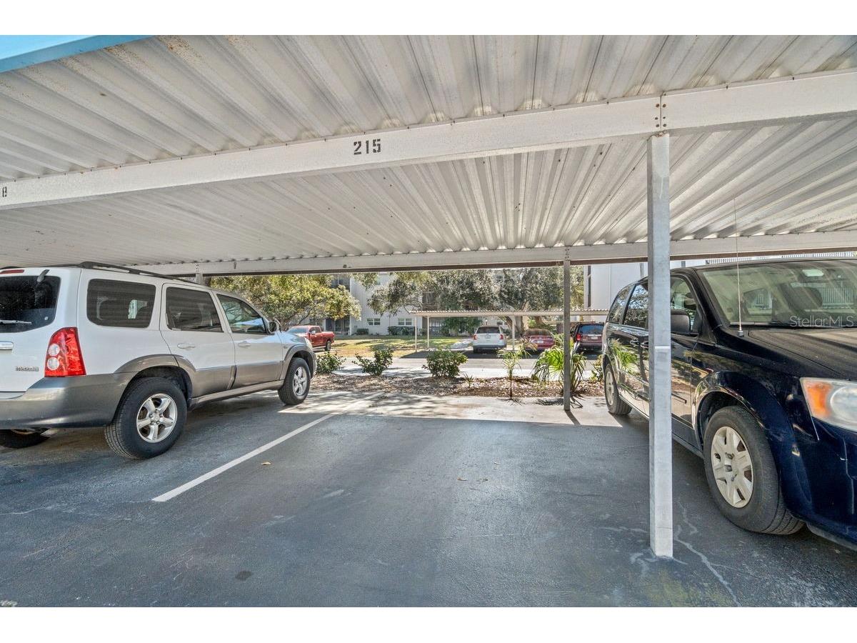 300 Clyde Lane #215 Dunedin FL 34698 TB8473029 image31