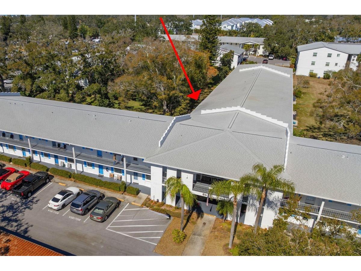 300 Clyde Lane #215 Dunedin FL 34698 TB8473029 image33