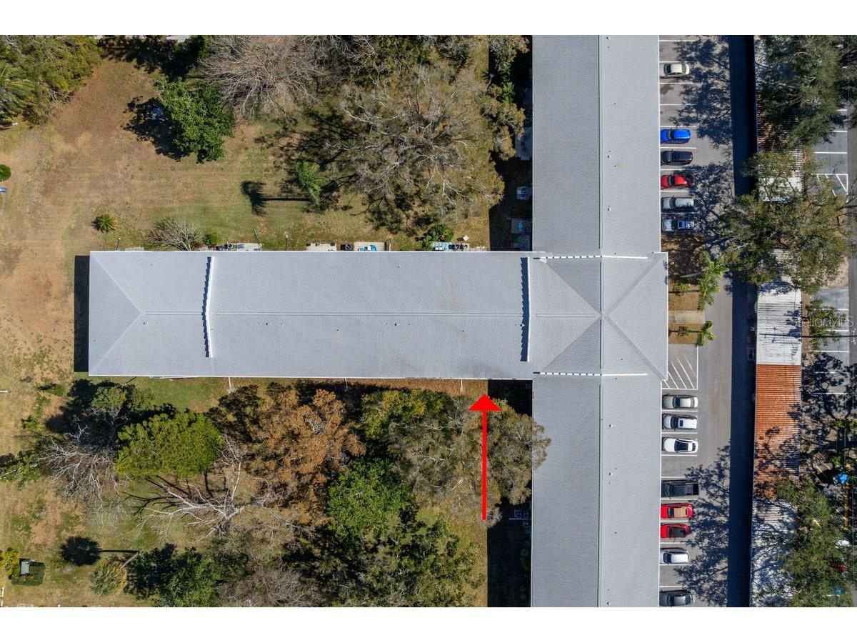 300 Clyde Lane #215 Dunedin FL 34698 TB8473029 image34