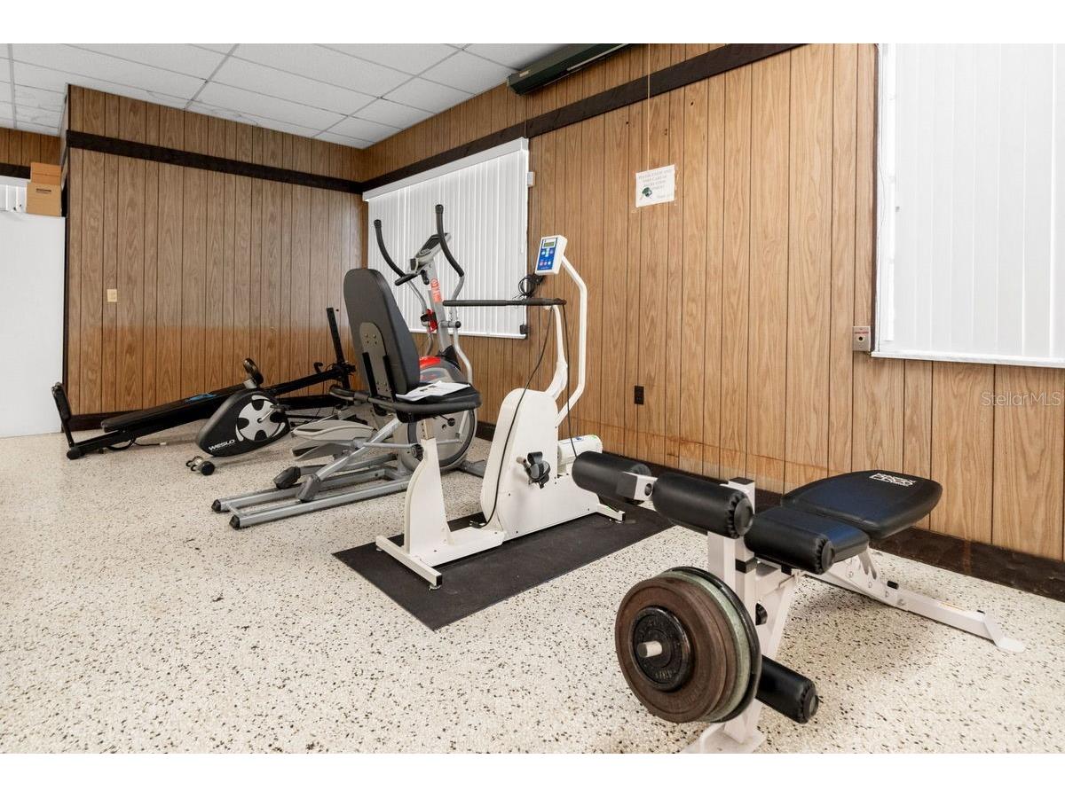 300 Clyde Lane #215 Dunedin FL 34698 TB8473029 image39