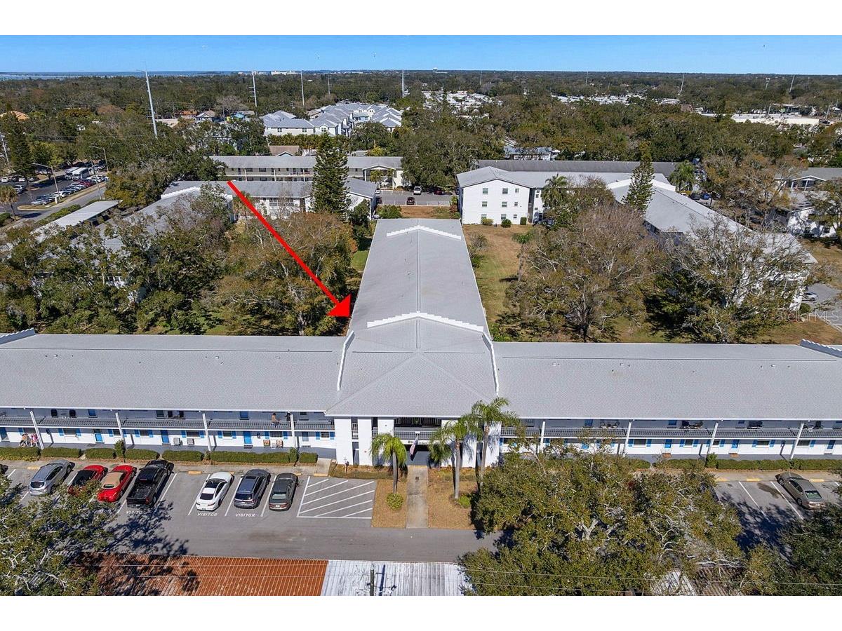 300 Clyde Lane #215 Dunedin FL 34698 TB8473029 image4