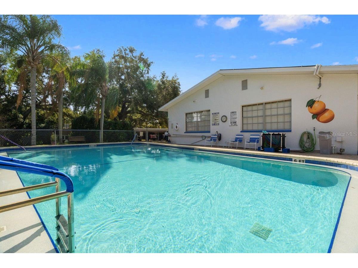 300 Clyde Lane #215 Dunedin FL 34698 TB8473029 image40