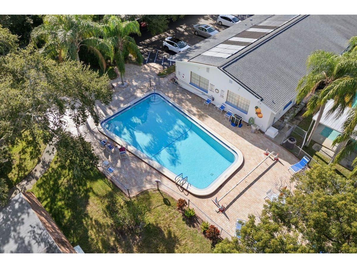 300 Clyde Lane #215 Dunedin FL 34698 TB8473029 image41