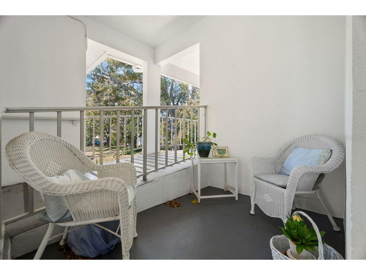 300 Clyde Lane #215 Dunedin FL 34698 TB8473029 image5