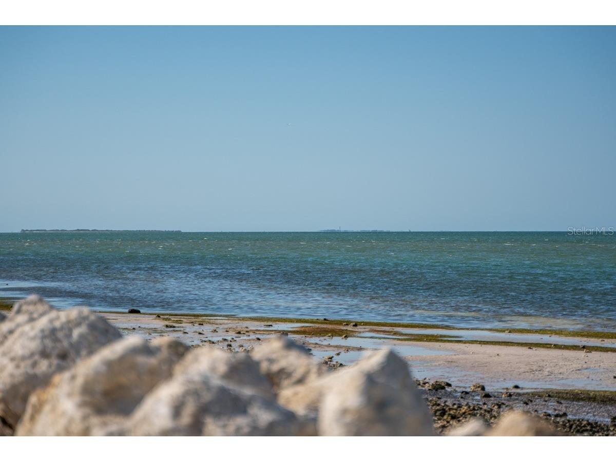 300 Clyde Lane #215 Dunedin FL 34698 TB8473029 image55