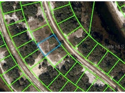 300 Dargen Drive Lake Placid FL 33852 OM621771 image2