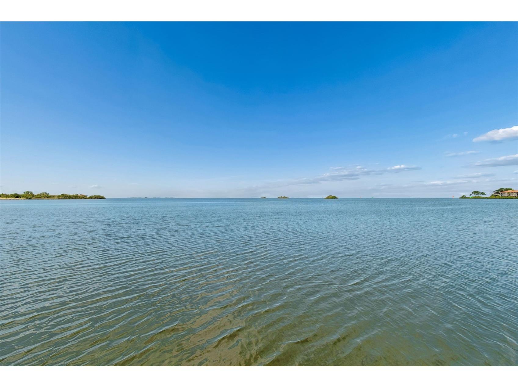 300 Driftwood Drive W Palm Harbor FL 34683 - GULF OF AMERICA TB8500861 image100
