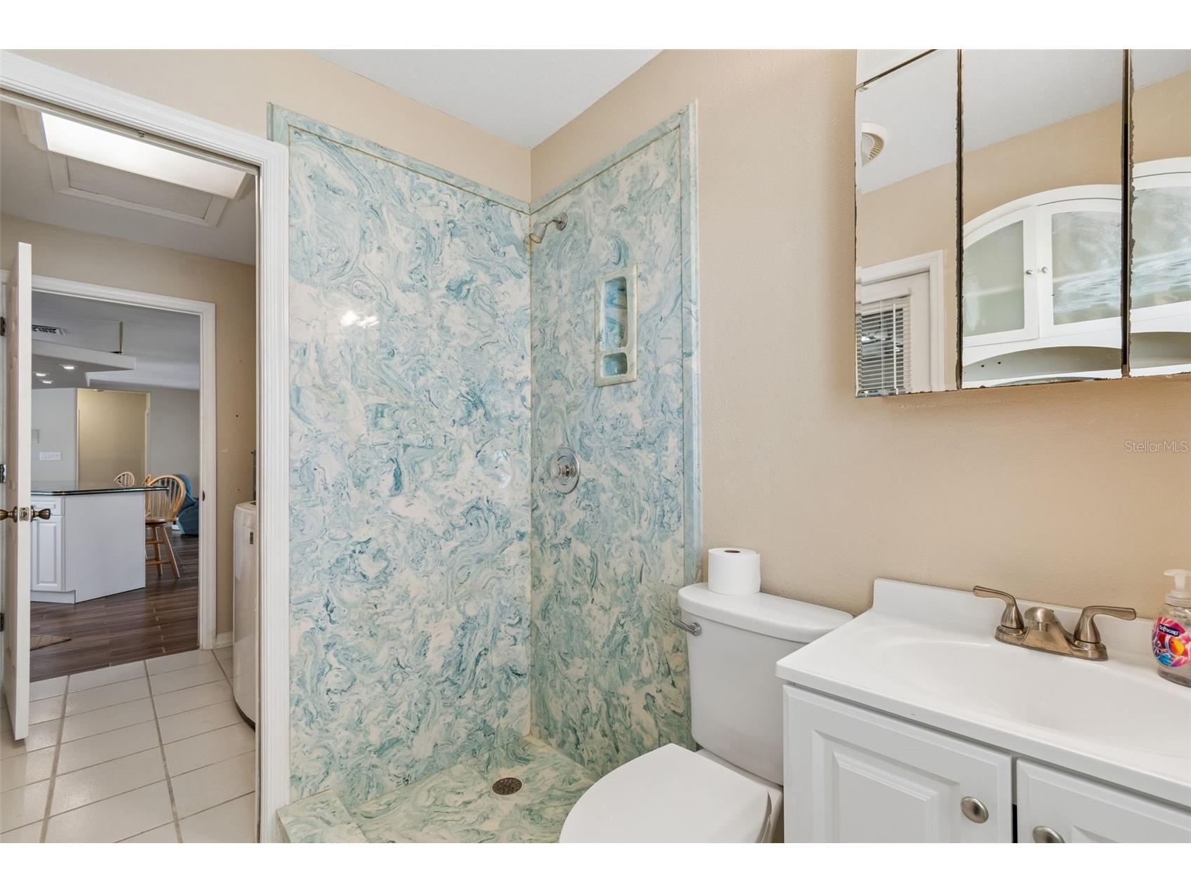300 Driftwood Drive W Palm Harbor FL 34683 - GULF OF AMERICA TB8500861 image40