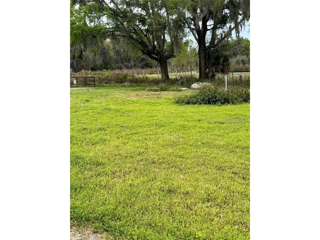 300 E Highway 316 Citra FL 32113 OM673823 image1