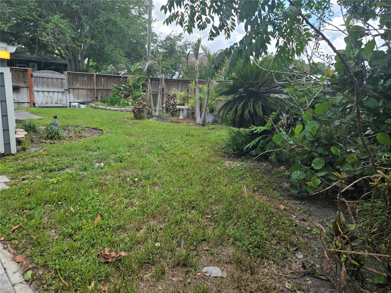 300 E Idlewild Avenue Tampa FL 33604 TB8525275 image34