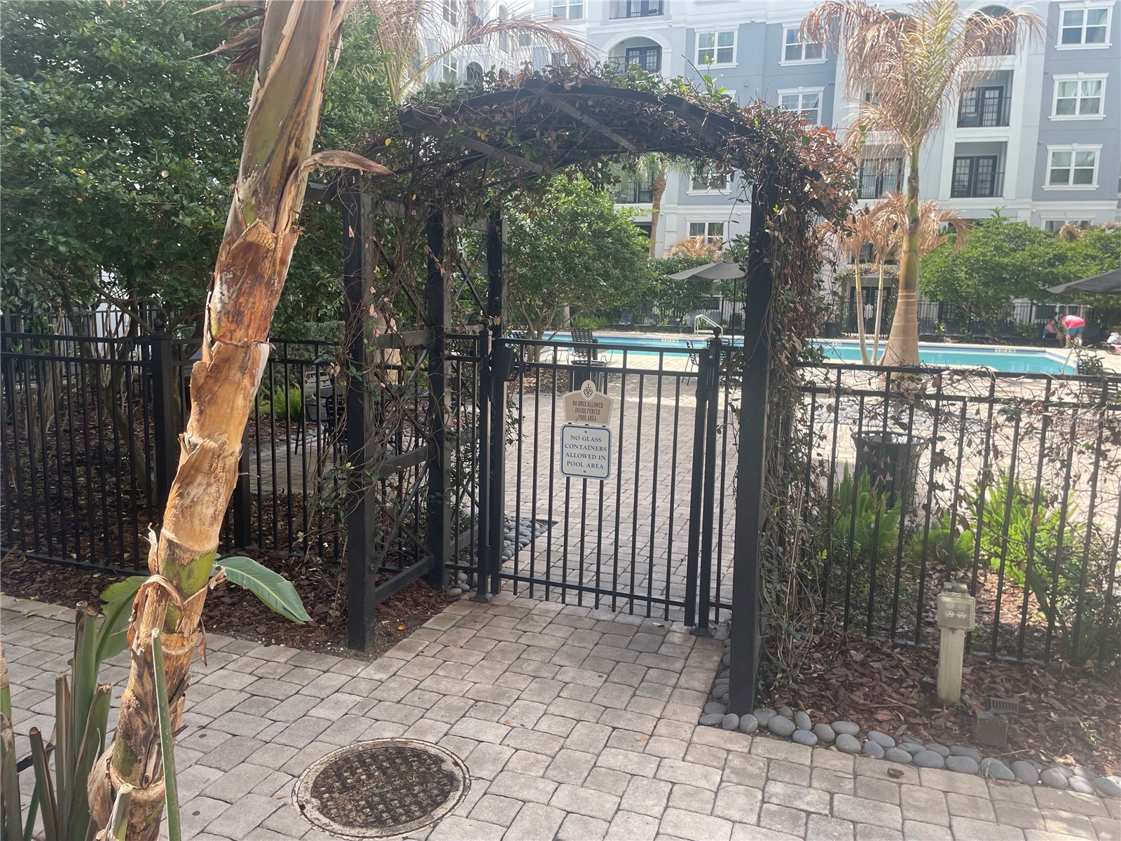 300 E South Street #6004 Orlando FL 32801 S5144812 image25