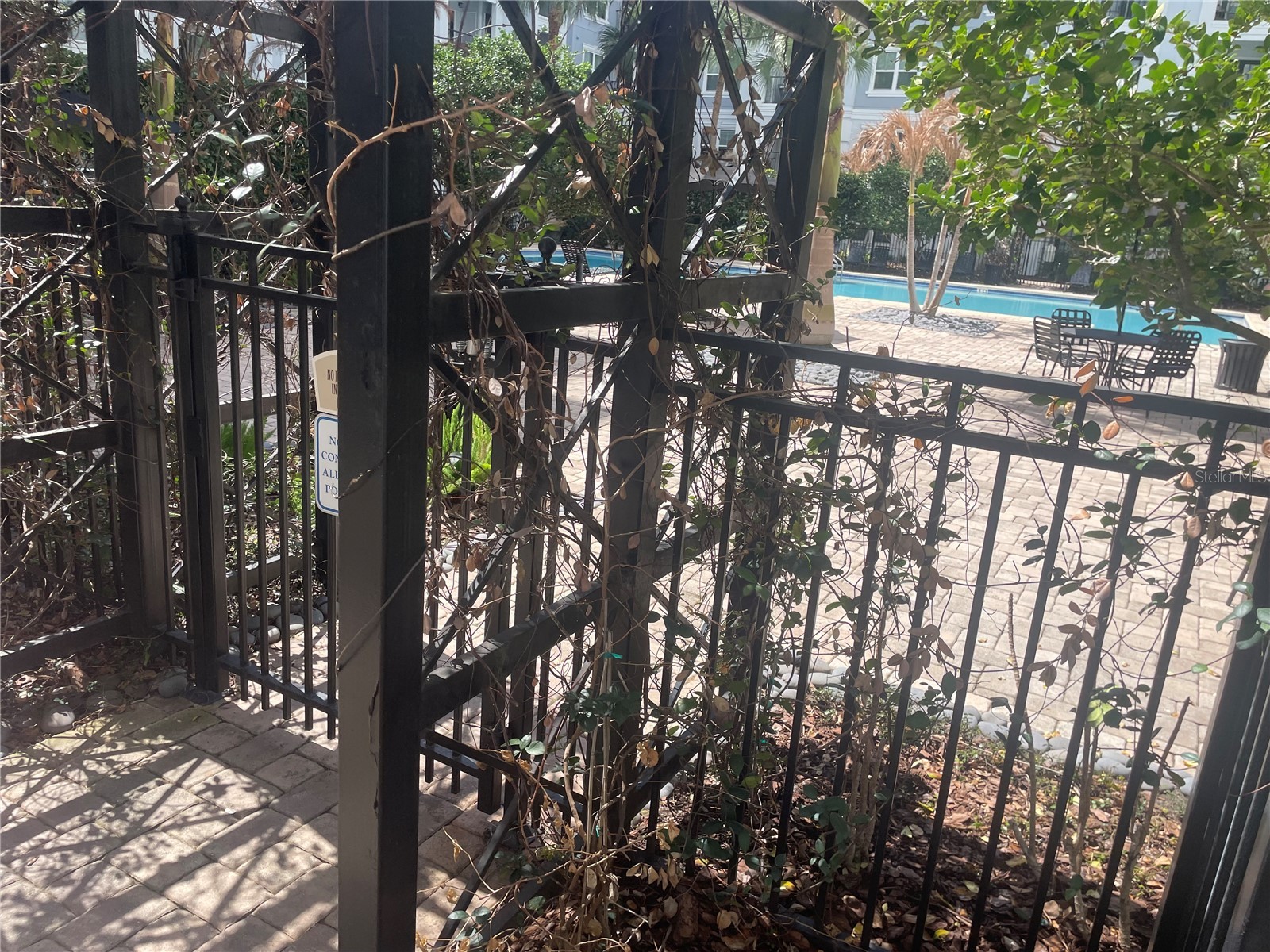300 E South Street #6004 Orlando FL 32801 S5144812 image26
