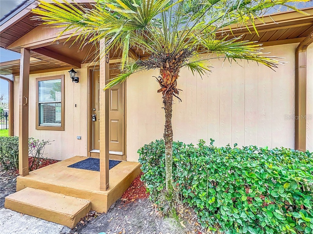 300 Eron Way #1 Winter Garden FL 34787 O6183084 image1
