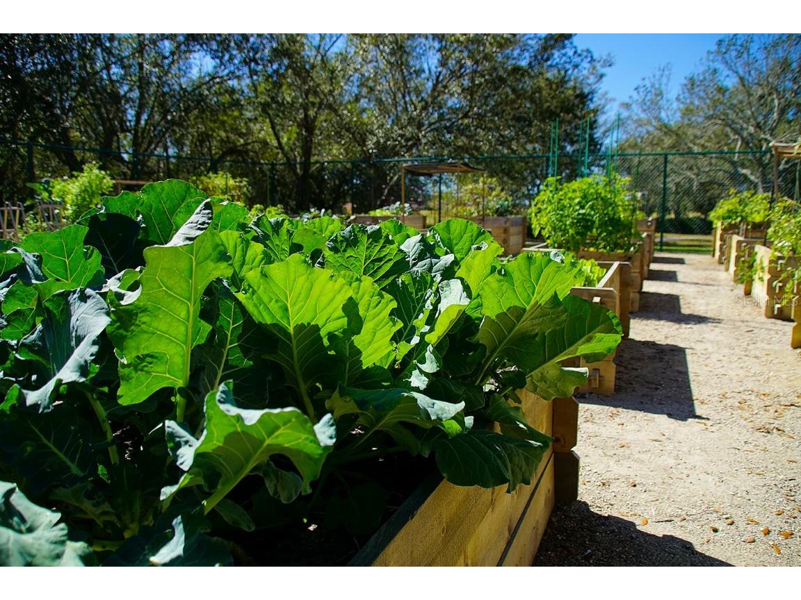 300 Falling Water Drive Poinciana FL 34759 S5123200 image62