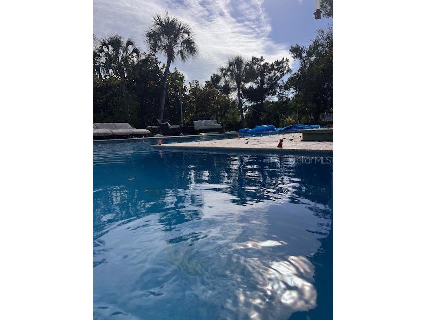 300 Garden Lane Sarasota FL 34242 A4662830 image13