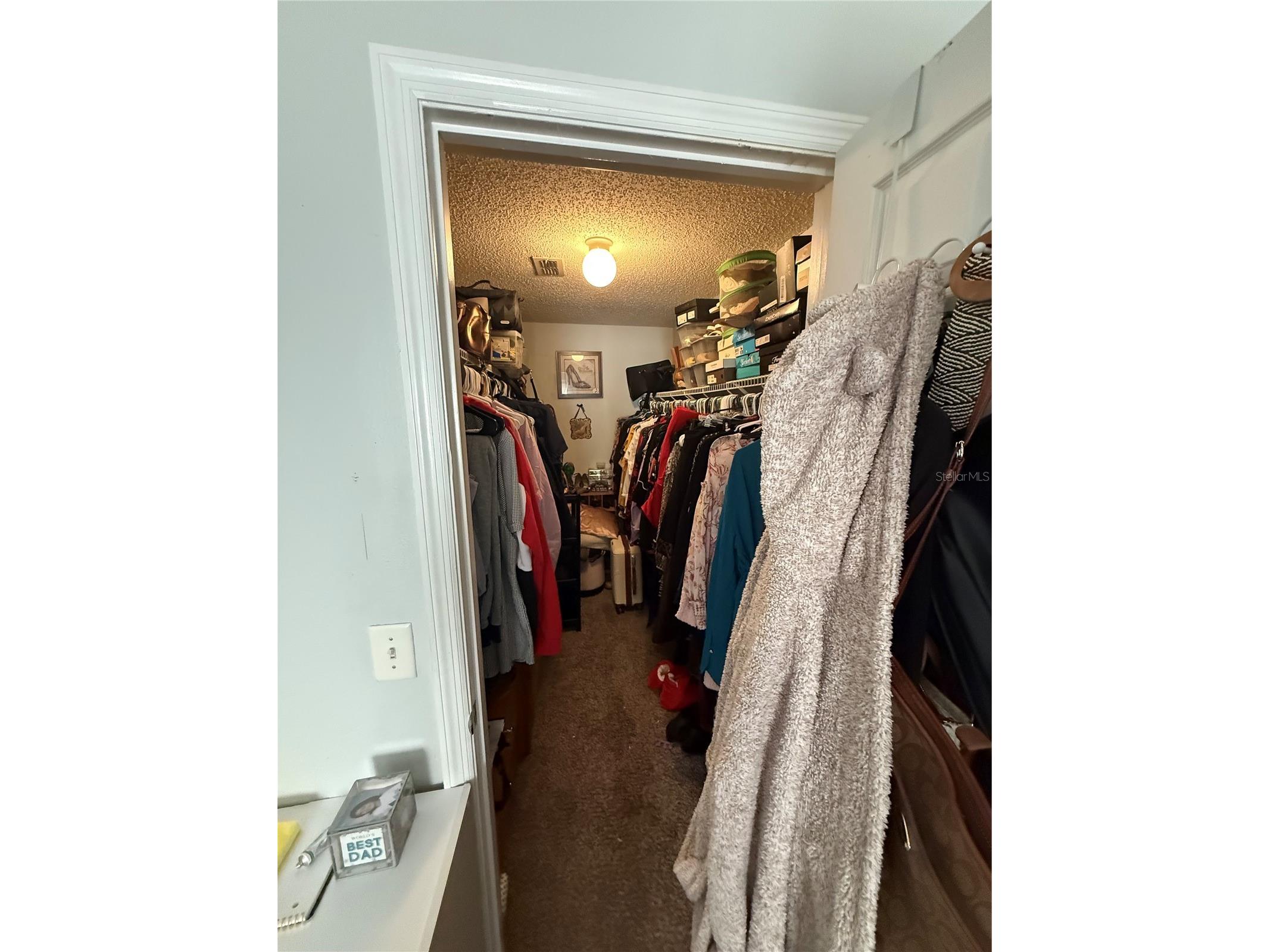 300 Heritage Estates Lane Deland FL 32720 O6377267 image15