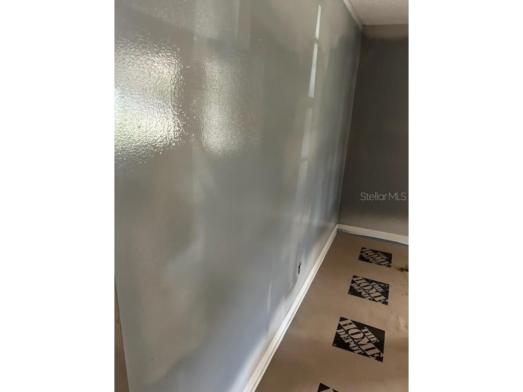 300 Midwood Drive Plant City FL 33566 W7876196 image41