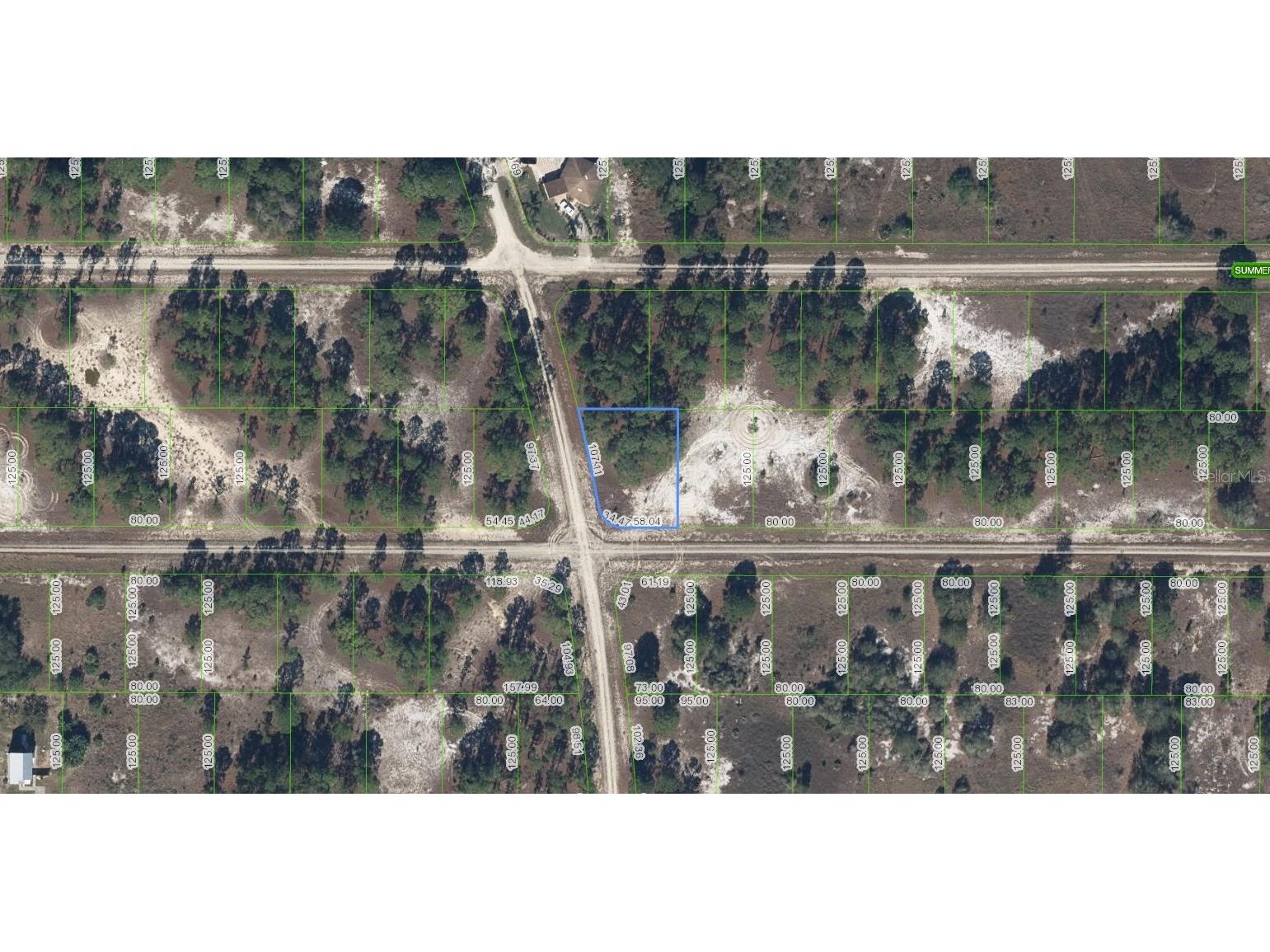 300 Moon River Avenue Lake Placid FL 33852 A4693197 image1