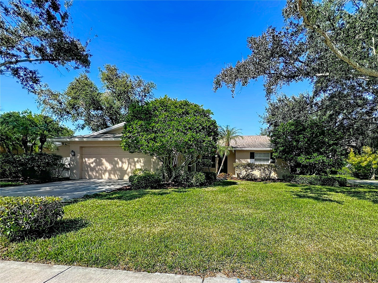 300 N Bay Hills Boulevard Safety Harbor FL 34695 TB8443760 image1