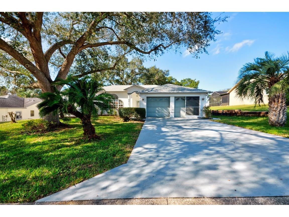 300 N Big Oaks Point Lecanto FL 34461 U8184962 image1