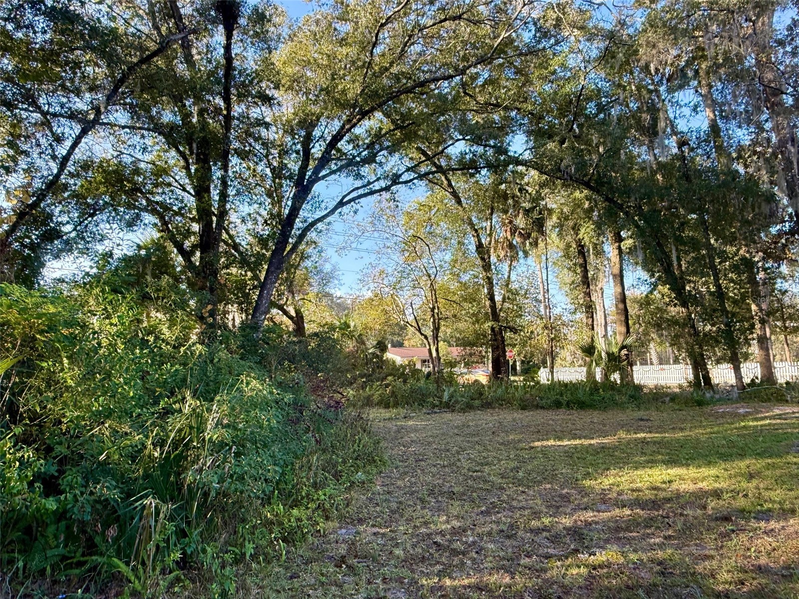 300 N Oak Avenue Orange City FL 32763 V4946527 image1