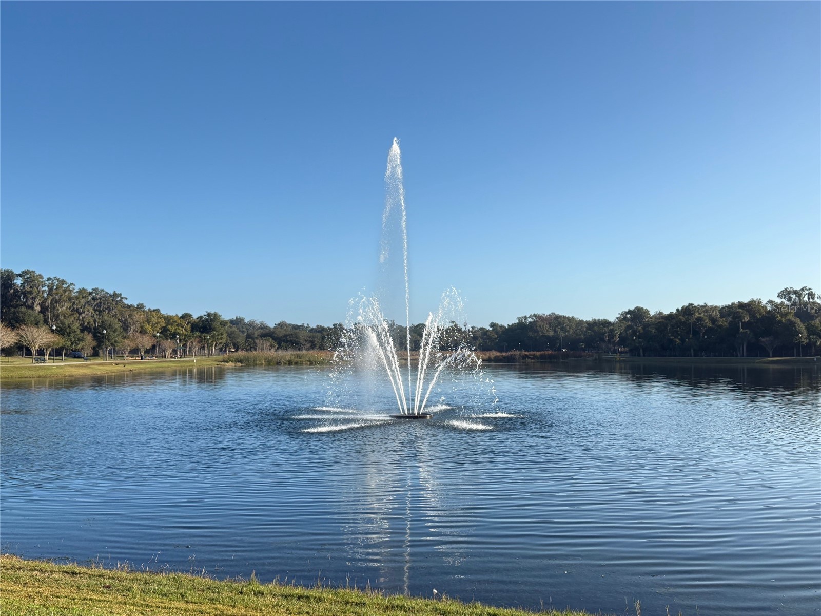 300 N Oak Avenue Orange City FL 32763 V4946527 image12