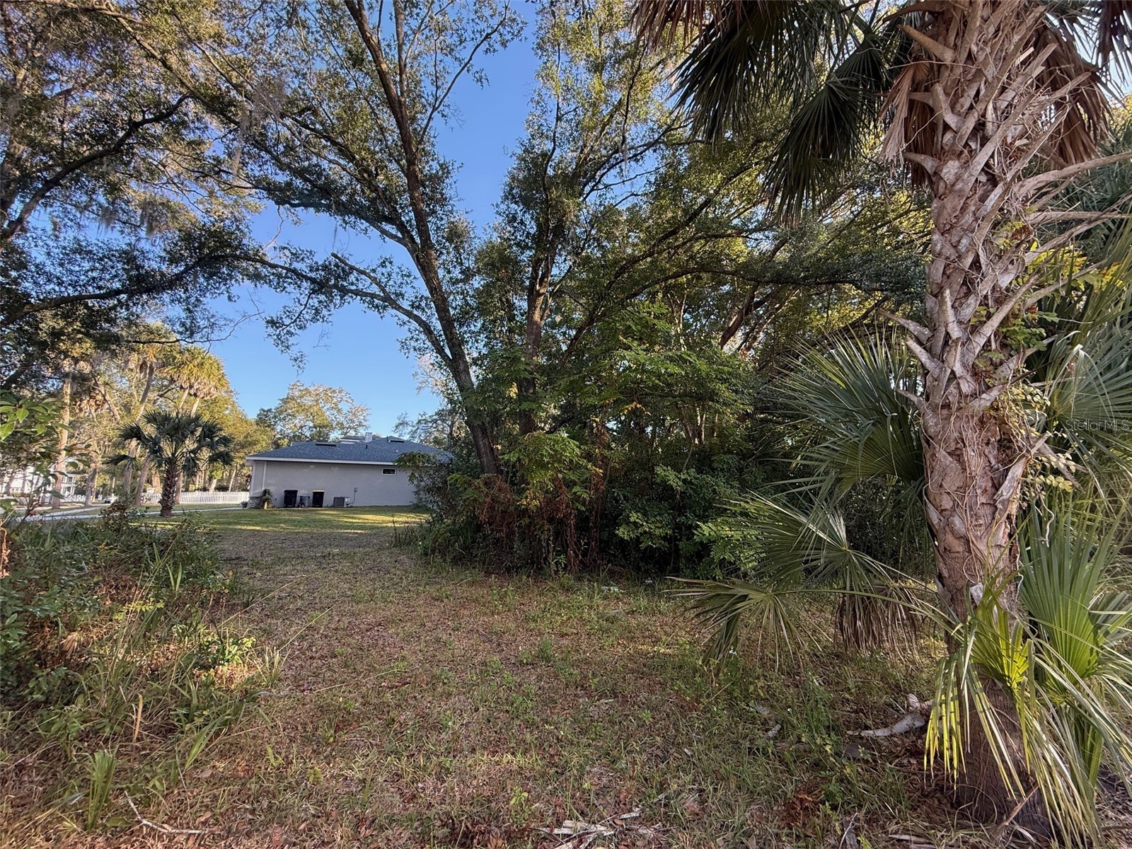 300 N Oak Avenue Orange City FL 32763 V4946527 image16