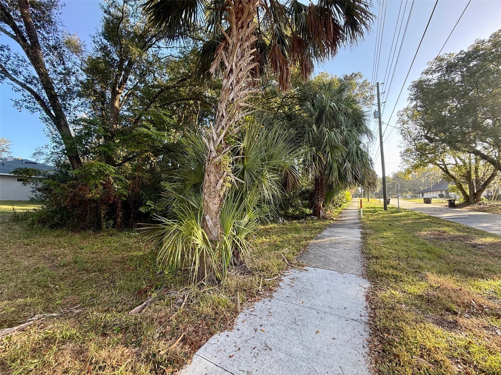 300 N Oak Avenue Orange City FL 32763 V4946527 image17