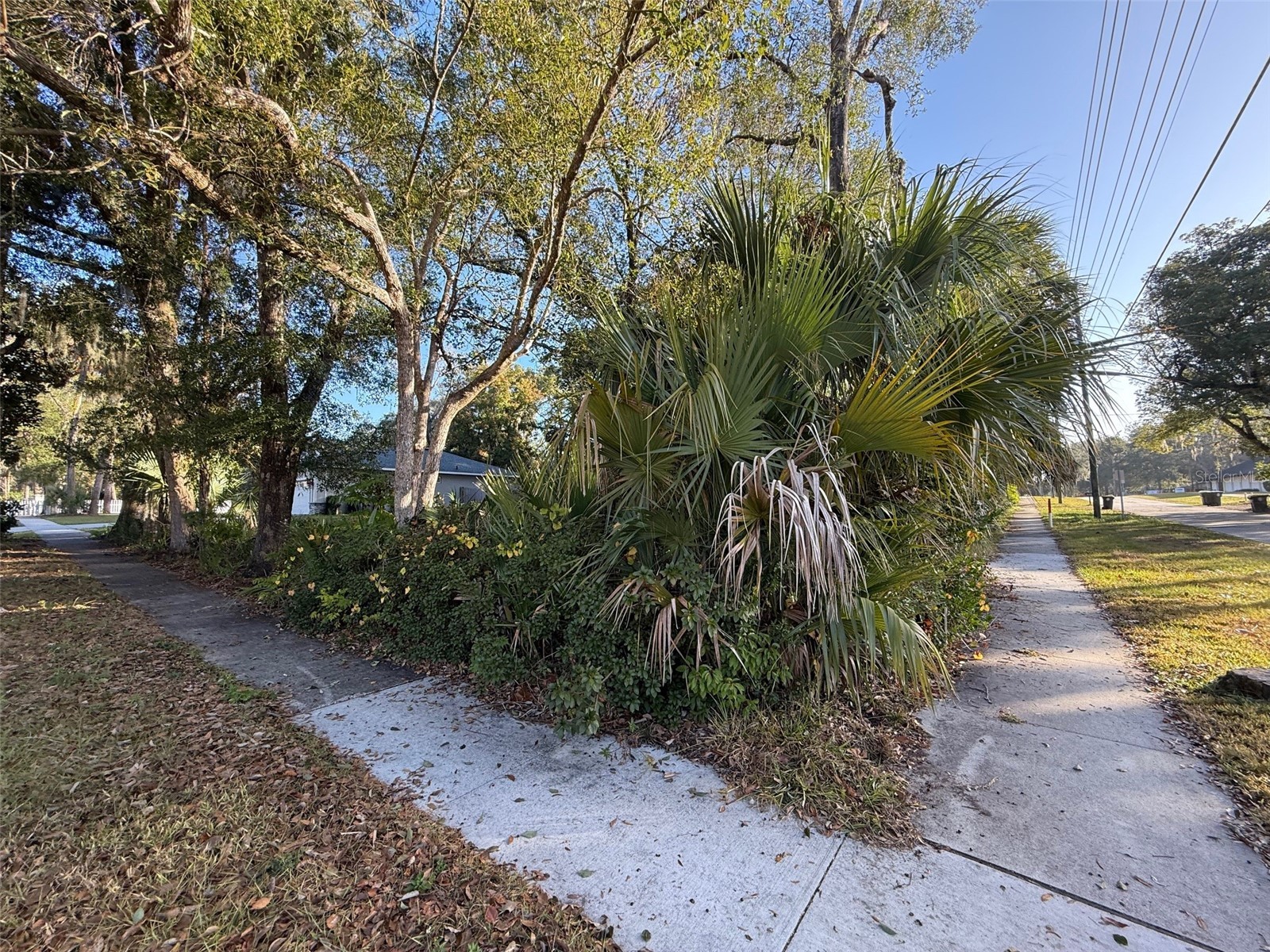 300 N Oak Avenue Orange City FL 32763 V4946527 image19