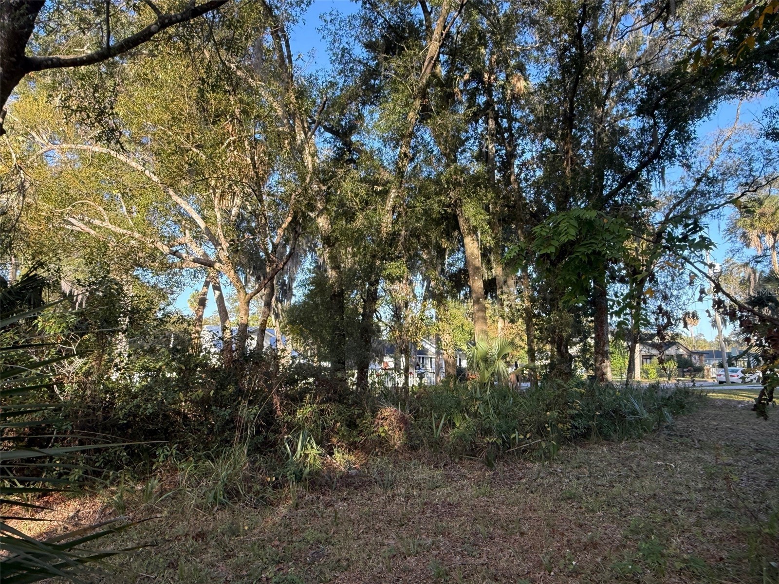 300 N Oak Avenue Orange City FL 32763 V4946527 image2