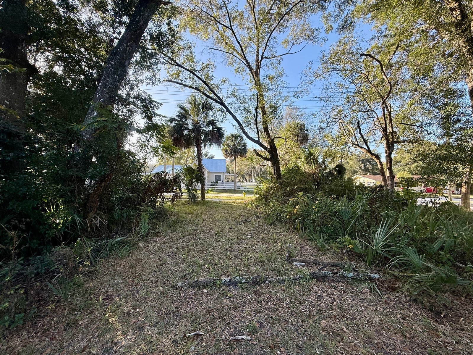 300 N Oak Avenue Orange City FL 32763 V4946527 image3