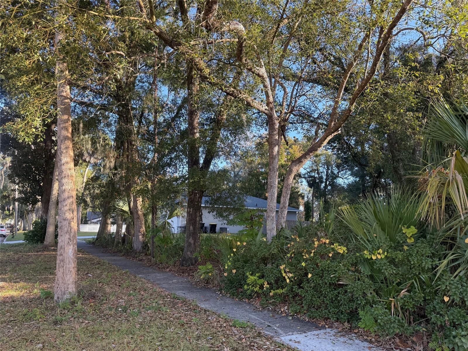 300 N Oak Avenue Orange City FL 32763 V4946527 image4