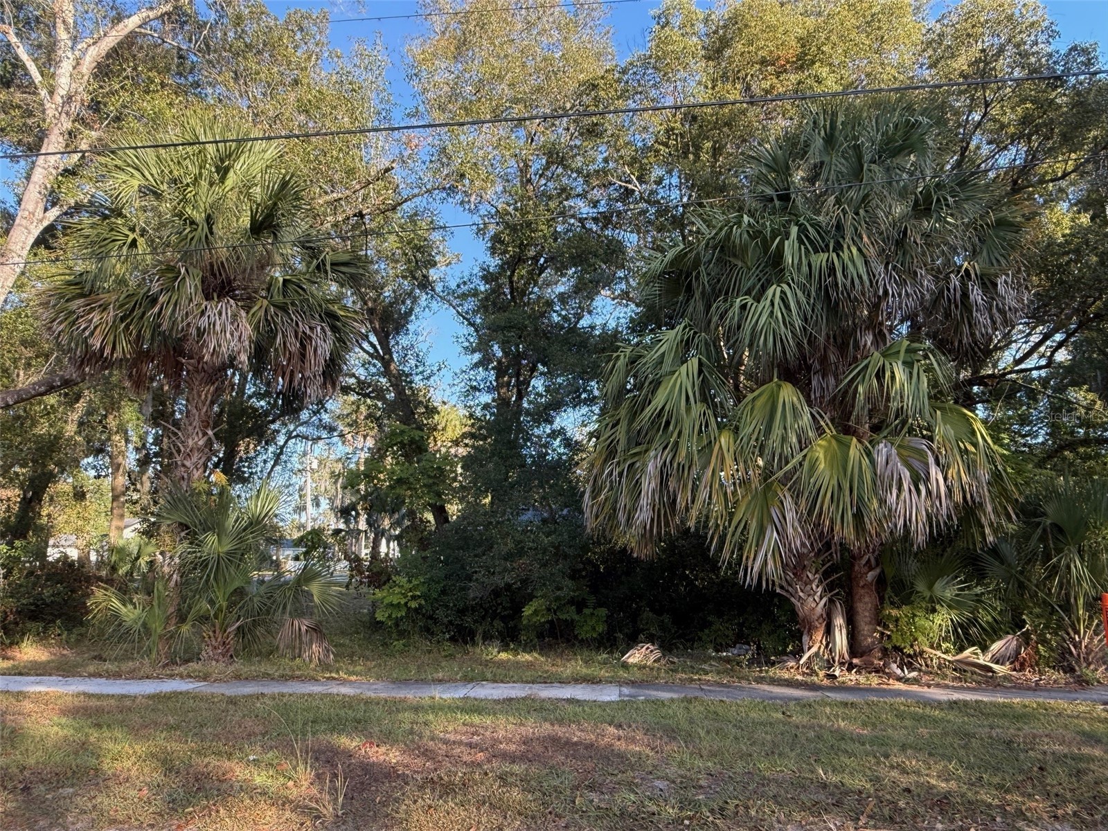 300 N Oak Avenue Orange City FL 32763 V4946527 image7