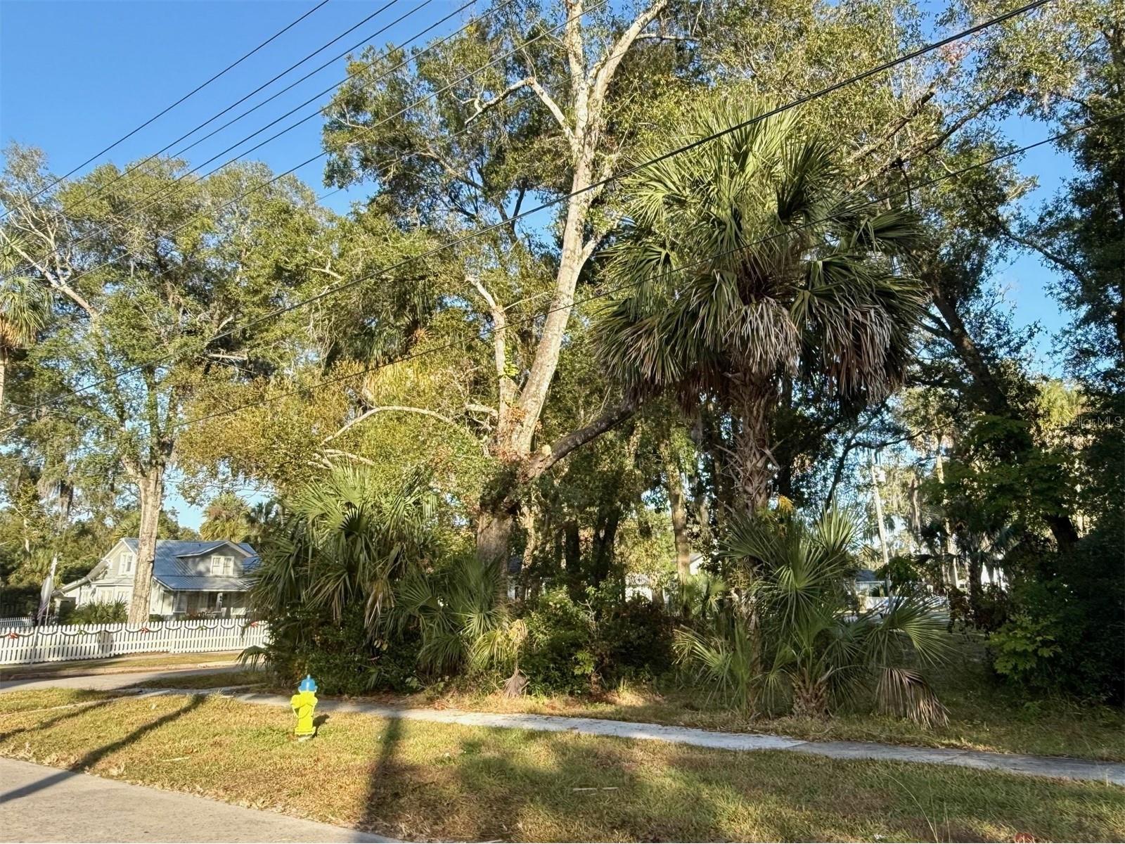 300 N Oak Avenue Orange City FL 32763 V4946527 image8