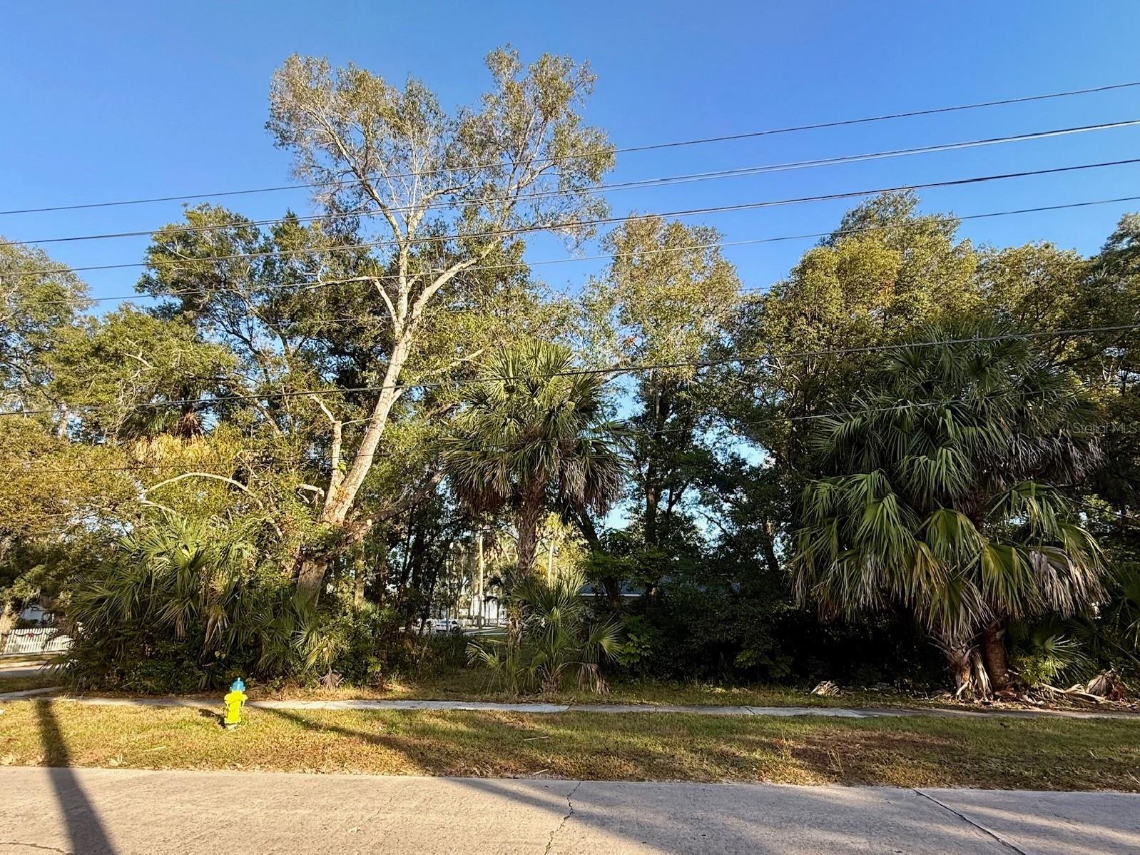 300 N Oak Avenue Orange City FL 32763 V4946527 image9