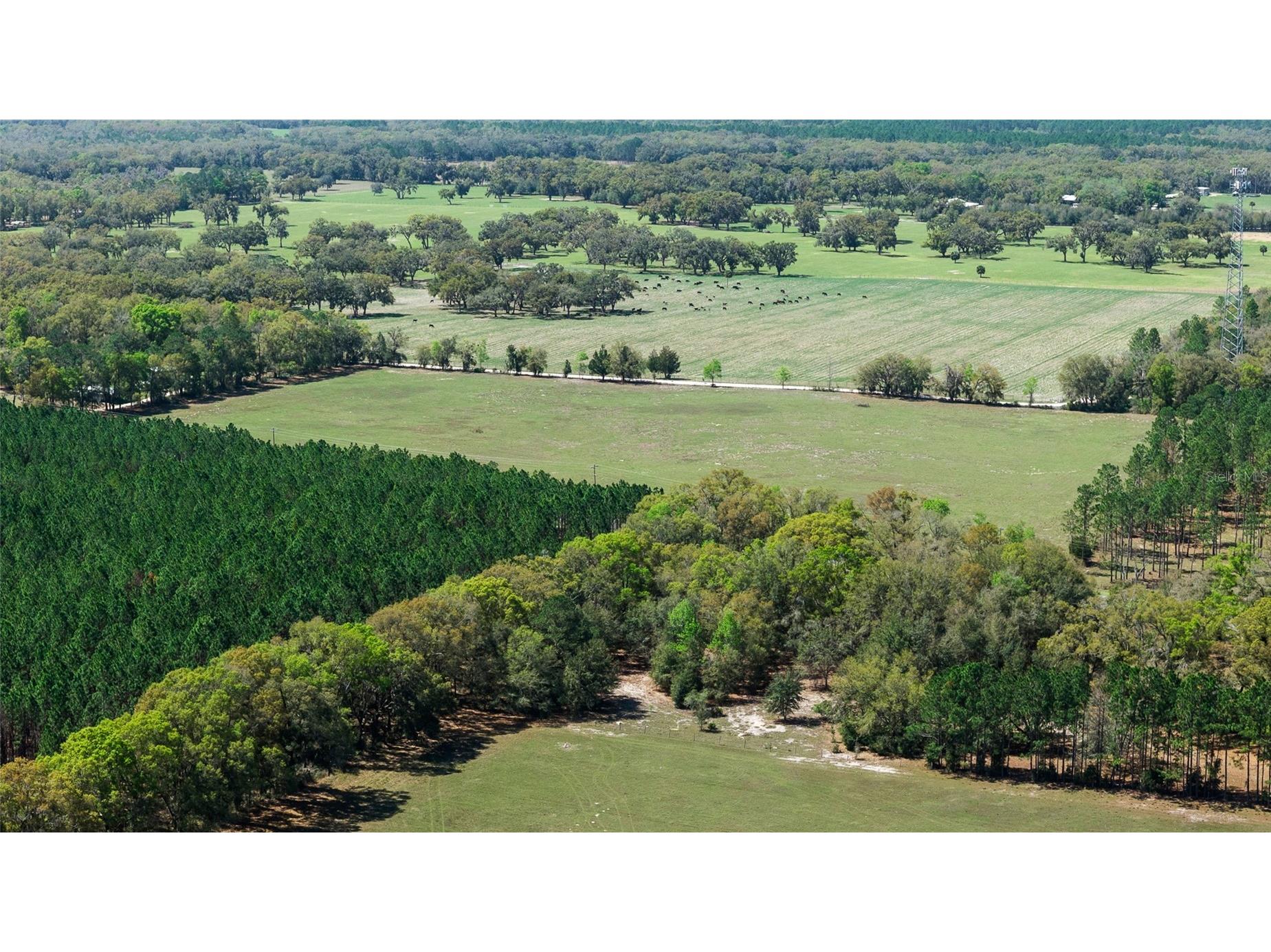 300 NE 708 Avenue Old Town FL 32680 TB8483508 image12