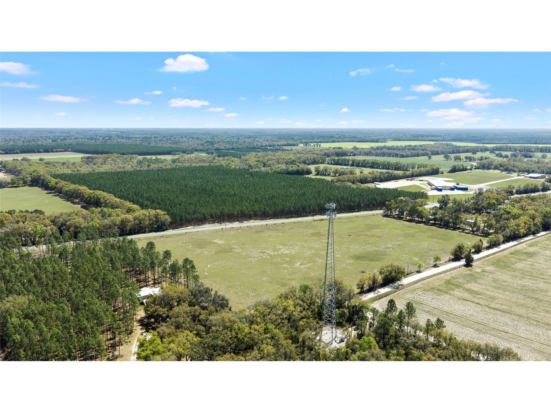 300 NE 708 Avenue Old Town FL 32680 TB8483508 image3