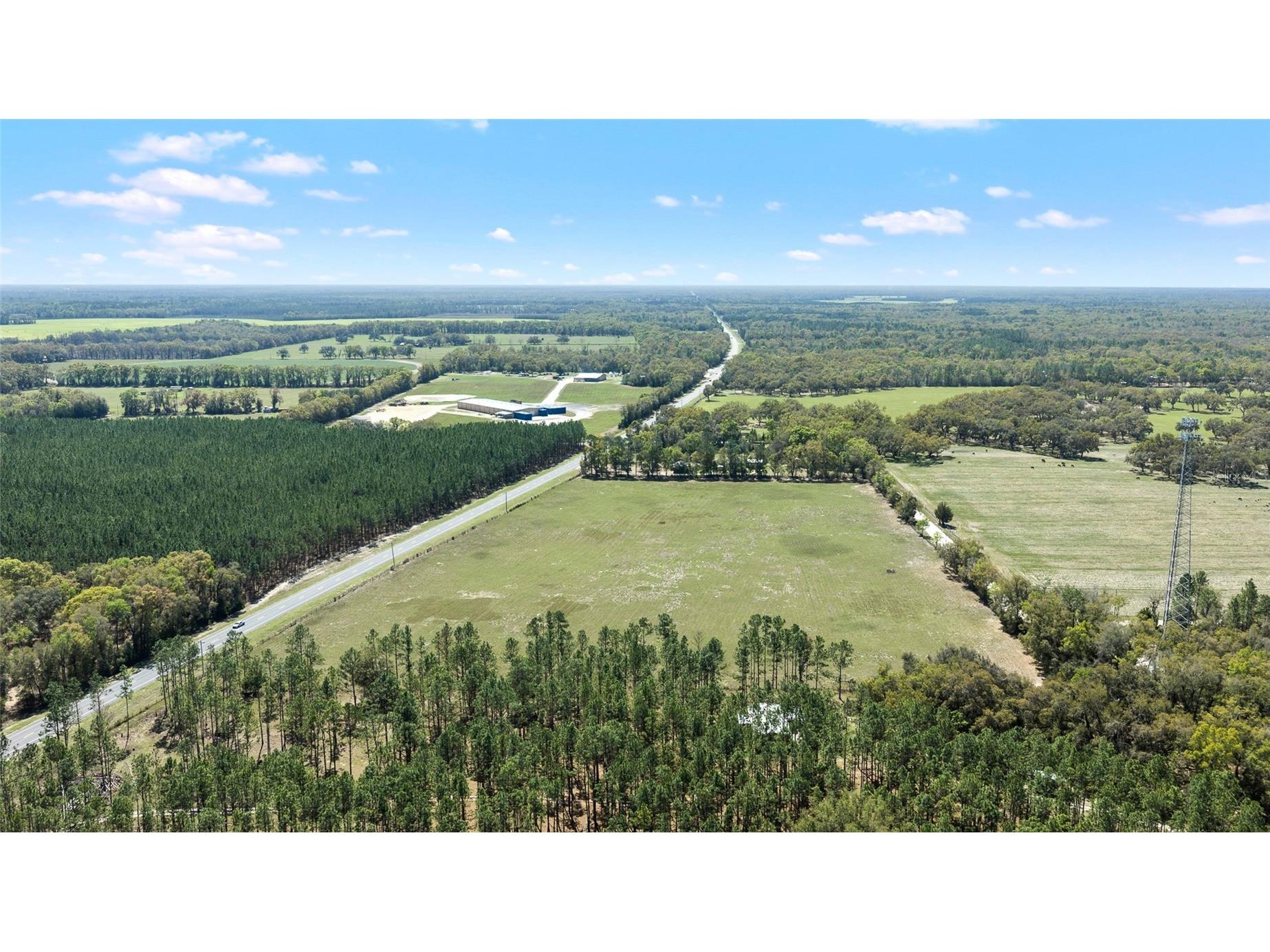 300 NE 708 Avenue Old Town FL 32680 TB8483508 image4