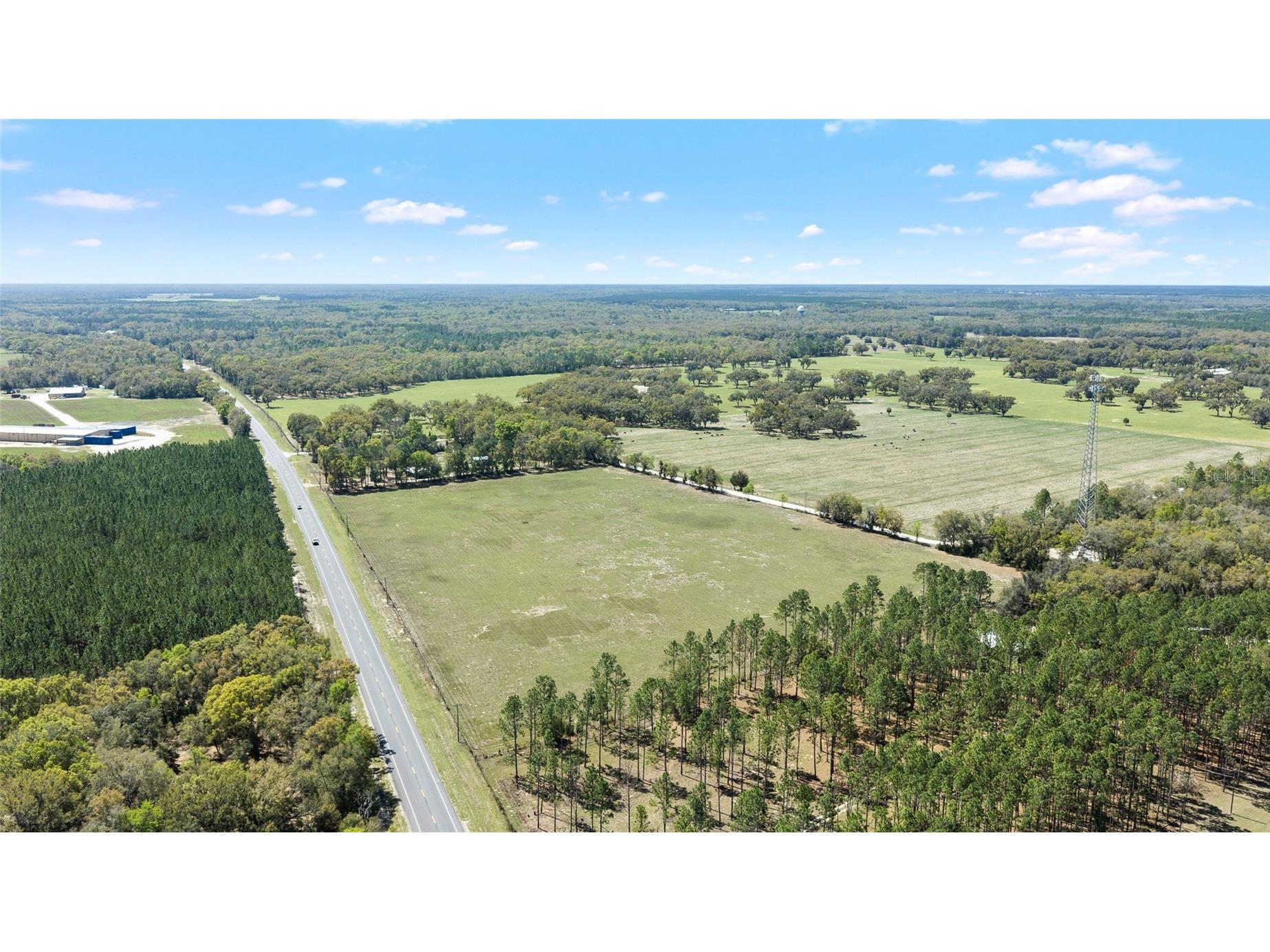 300 NE 708 Avenue Old Town FL 32680 TB8483508 image5