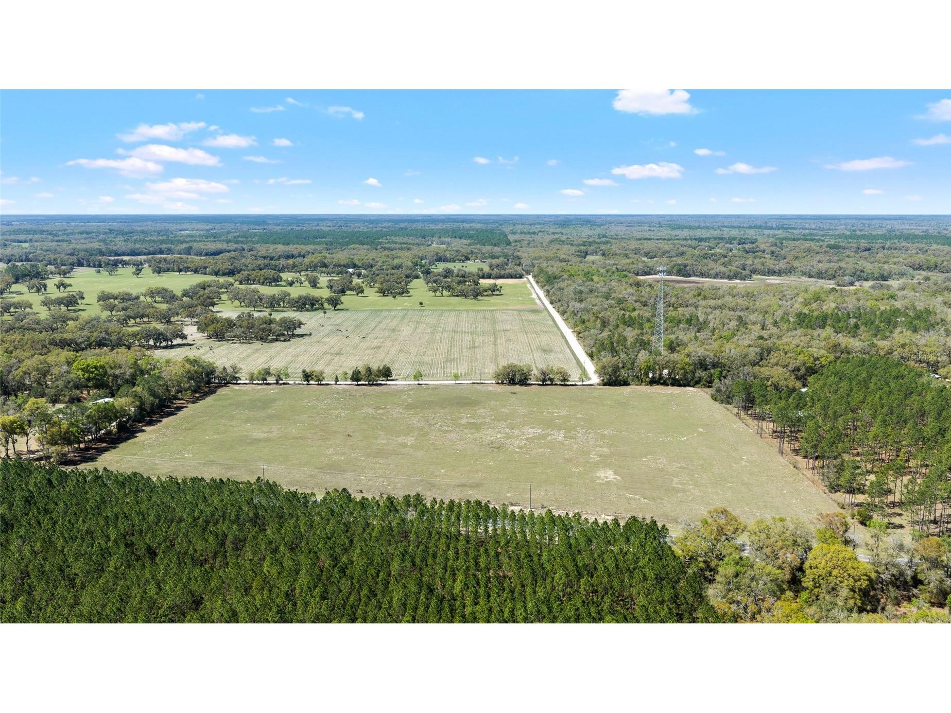 300 NE 708 Avenue Old Town FL 32680 TB8483508 image6