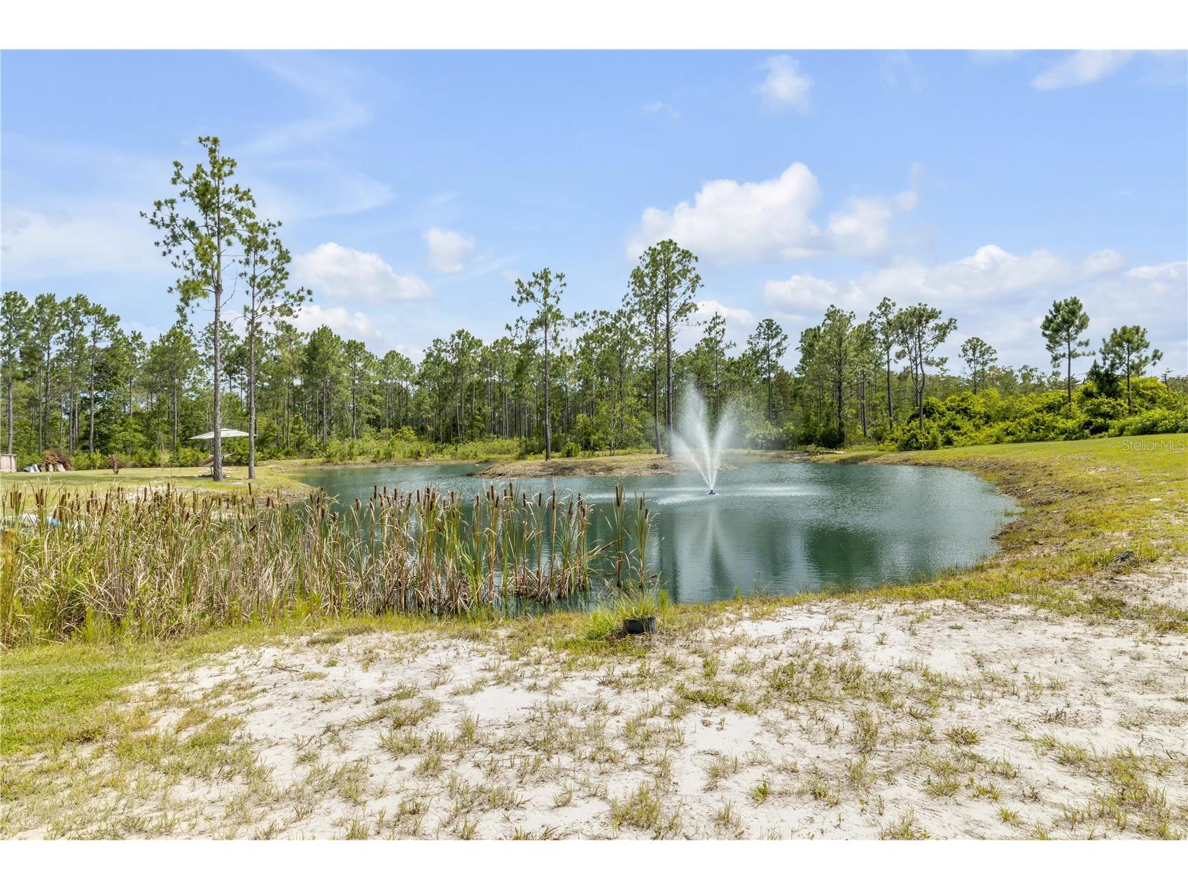 300 Omega Ranch Road New Smyrna Beach FL 32168 NS1088668 image64