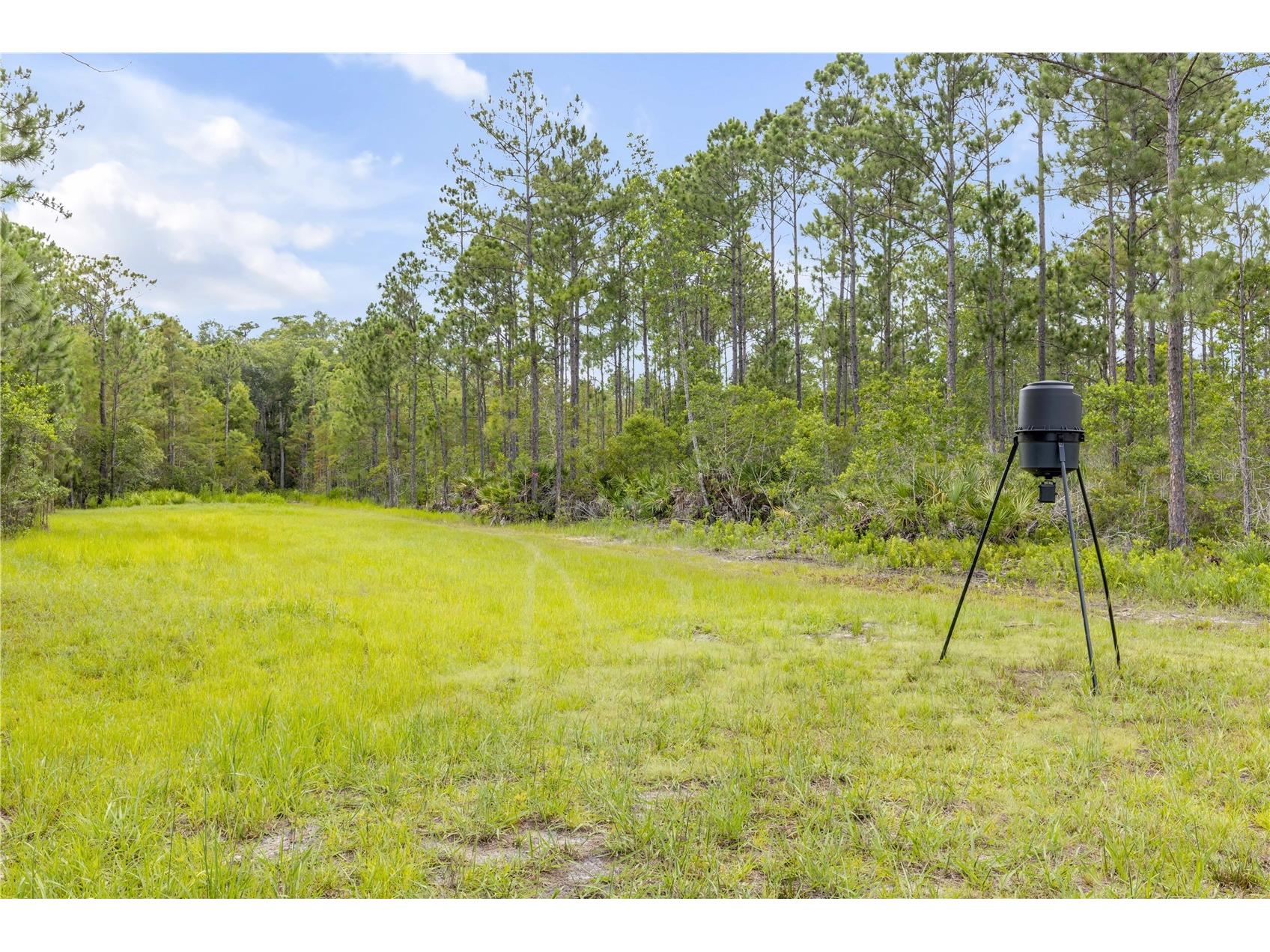 300 Omega Ranch Road New Smyrna Beach FL 32168 NS1088668 image69