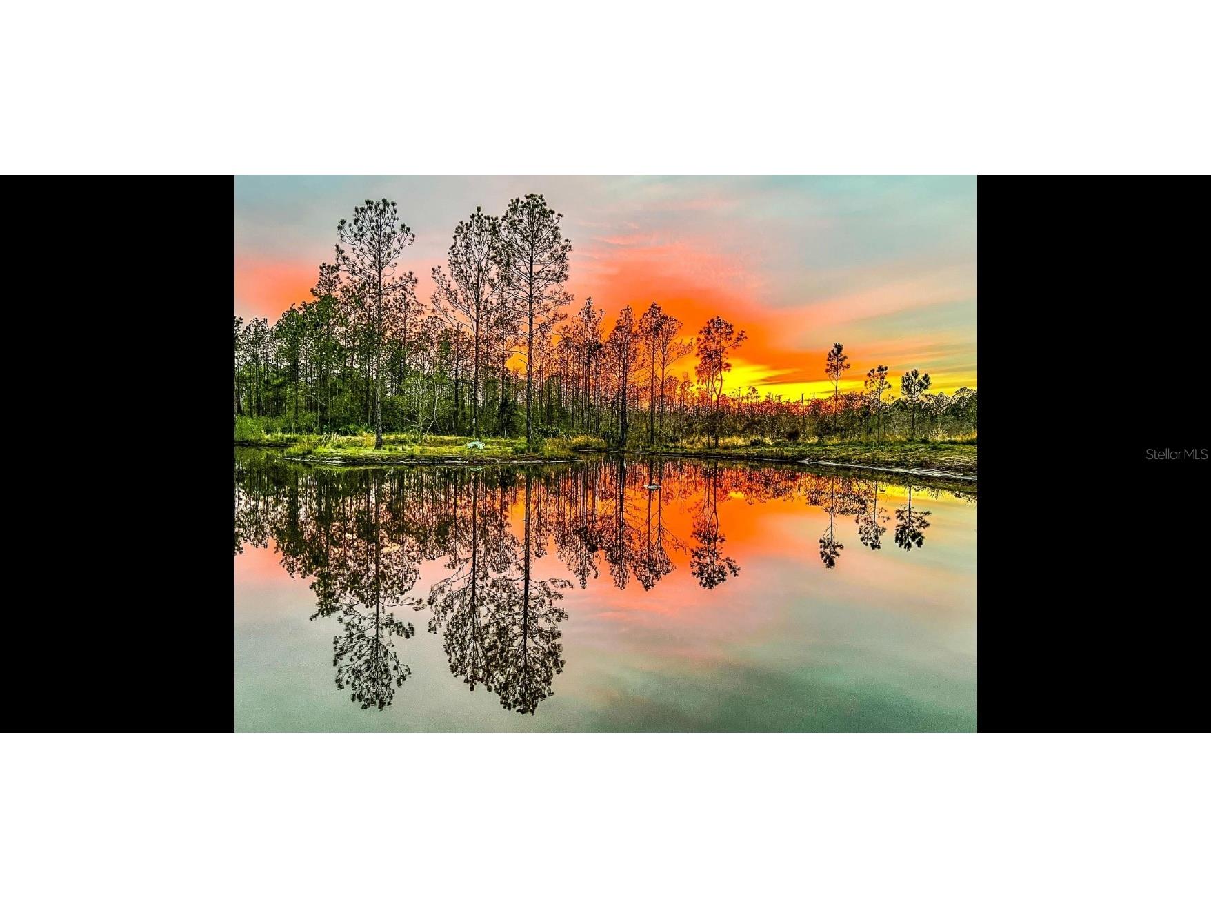 300 Omega Ranch Road New Smyrna Beach FL 32168 NS1088668 image77