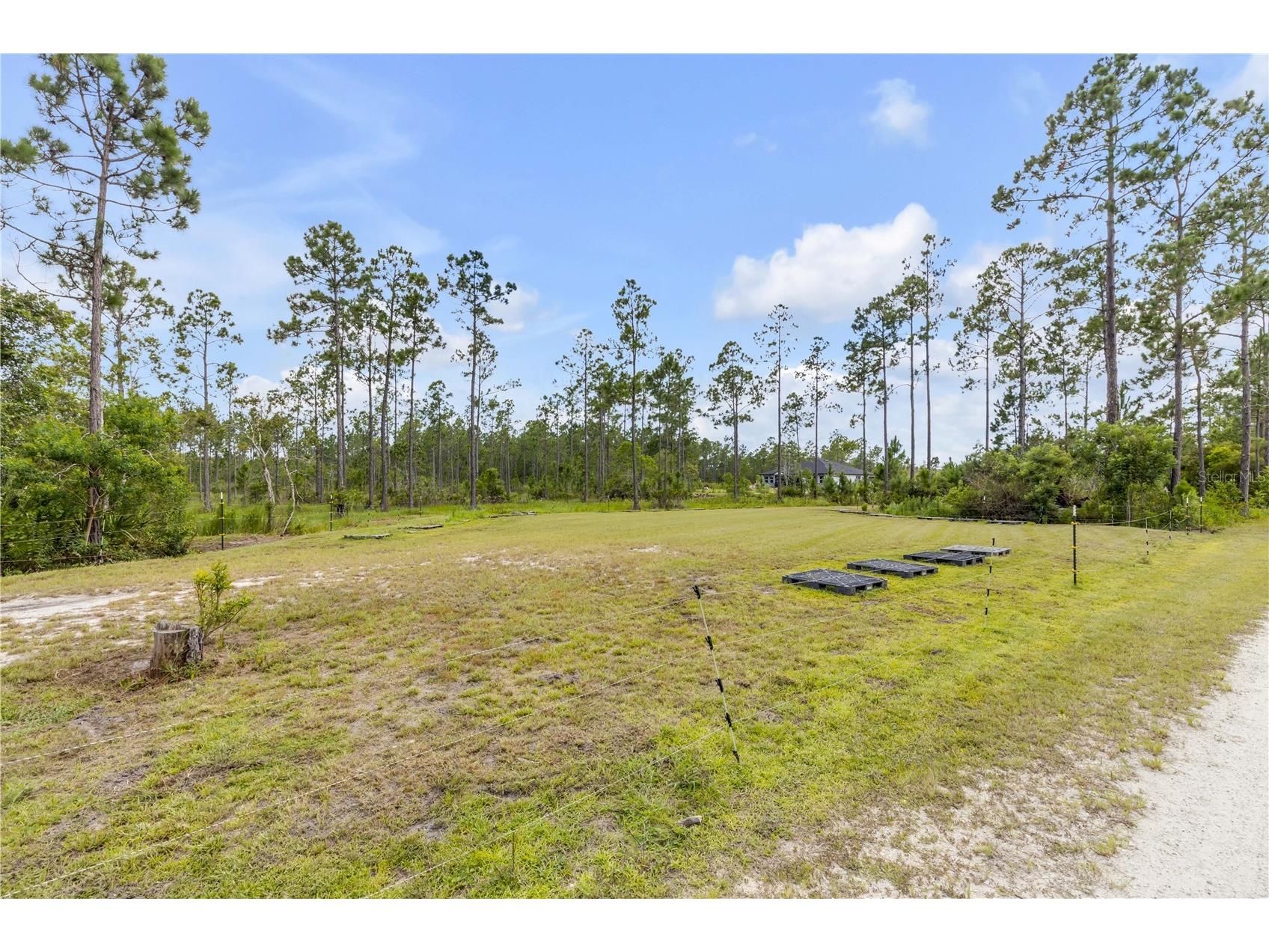 300 Omega Ranch Road New Smyrna Beach FL 32168 NS1088668 image8