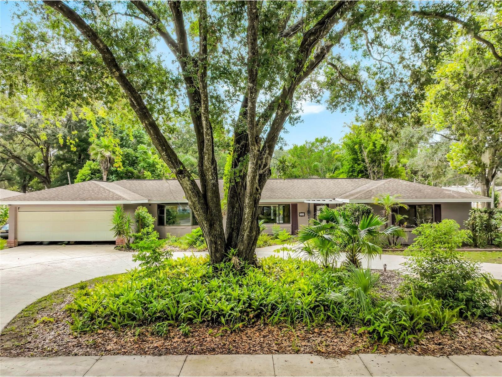 300 Pinecrest Road Mount Dora FL 32757 G5115340 image2