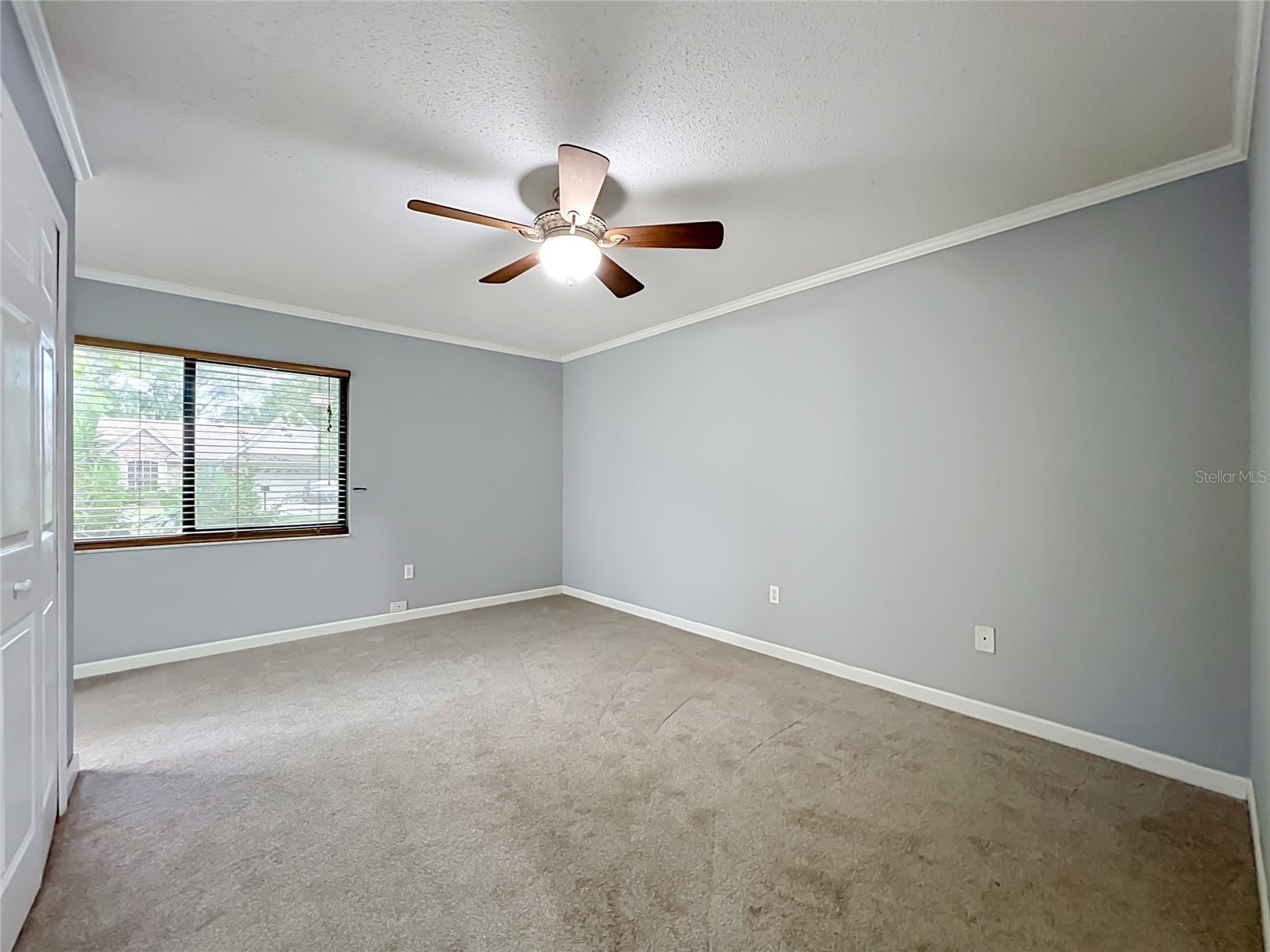 300 Pinecrest Road Mount Dora FL 32757 G5115340 image27