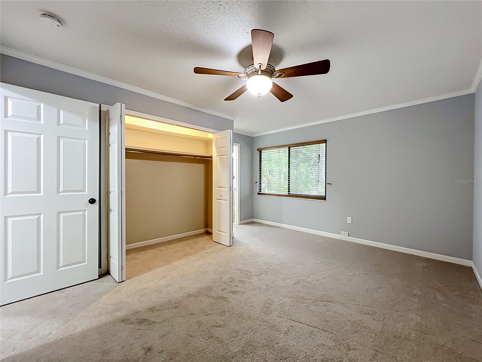 300 Pinecrest Road Mount Dora FL 32757 G5115340 image28