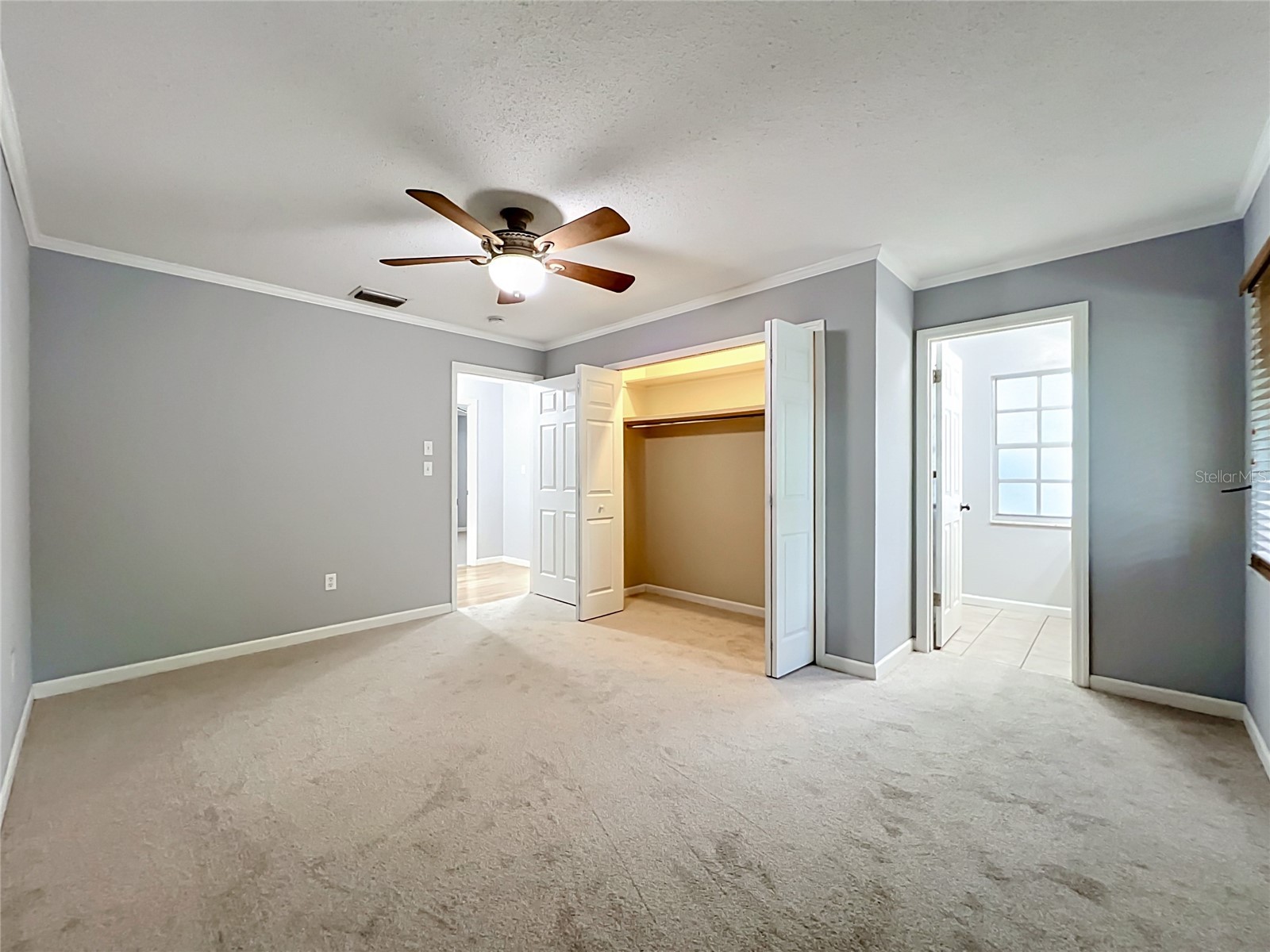 300 Pinecrest Road Mount Dora FL 32757 G5115340 image29