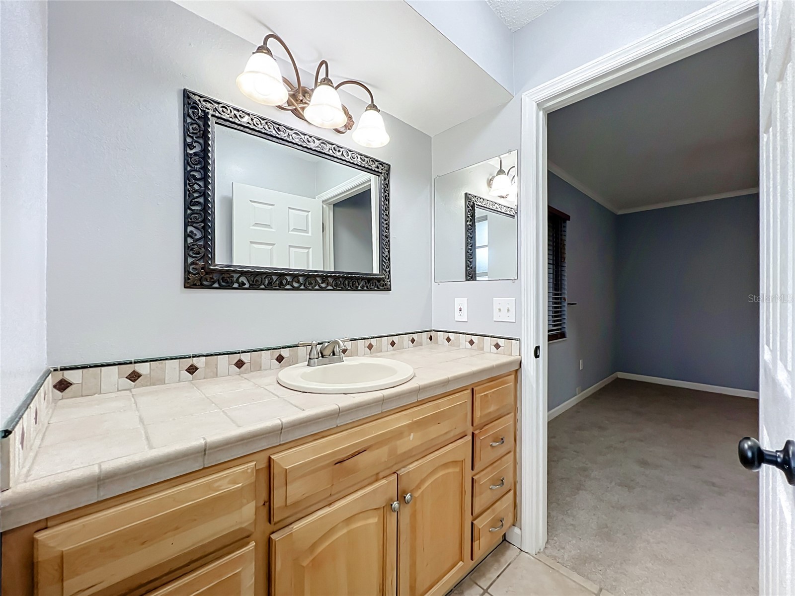 300 Pinecrest Road Mount Dora FL 32757 G5115340 image32