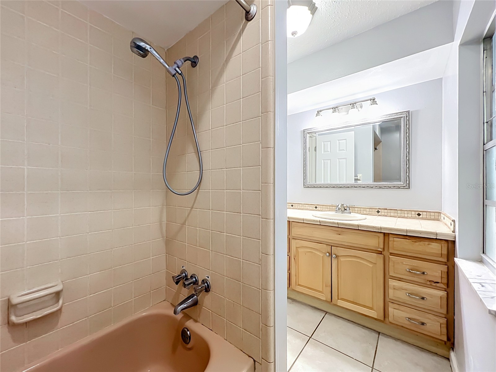 300 Pinecrest Road Mount Dora FL 32757 G5115340 image40